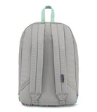 JanSport Cortland Laptop Backpack - Spring Sky