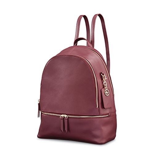 Amazon.com | Samsonite Foldable Backpack, Graphite, One Size | Casual  Daypacks