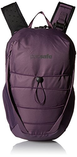 Pacsafe venturesafe hot sale x12 review