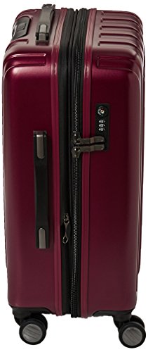 DELSEY Paris Luggage Helium Titanium 21" Carry-On Expandable Spinner ...