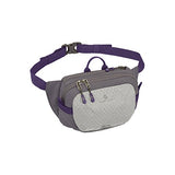 Eagle Creek Wayfinder Waist Pack Multiuse Fanny Pack for Travel Sport Waist Pack for E-reader & Phone Passport Wallet, Graphite/Amethyst