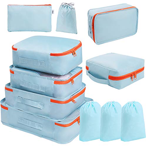Travel Luggage Clothes Storage Bags For Bra Underwear Suitcase