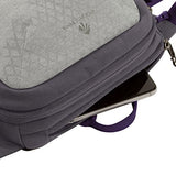 Eagle Creek Wayfinder Waist Pack Multiuse Fanny Pack for Travel Sport Waist Pack for E-reader & Phone Passport Wallet, Graphite/Amethyst