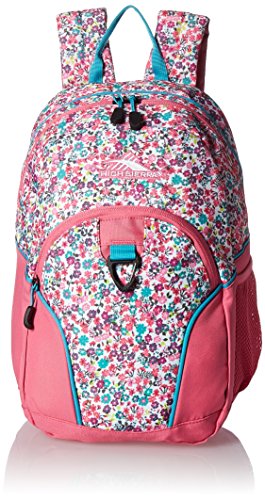 Best Buy: High Sierra Kiera Mini Backpack for 11 Tablet Hushed Orchid/Glow  143353-9735