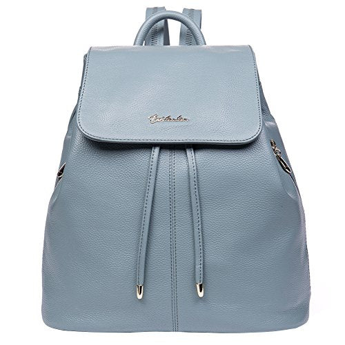 LOGGIN Ladies Casual Backpack or Bag Artificial Synthetic Leather 15 L Backpack  Blue - Price in India | Flipkart.com