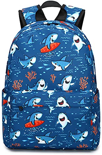 Shop CAMTOP Preschool Backpack for Kids Boys – Luggage Factory