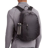 Amazonbasics Ultralight Packable Day Pack - Black, 25L